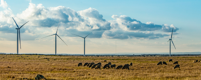 https://mediacdn.acciona.com/media/3179550/parqueeolico-acciona-australia-2.jpg